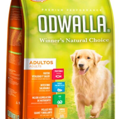 Odwalla Adulto